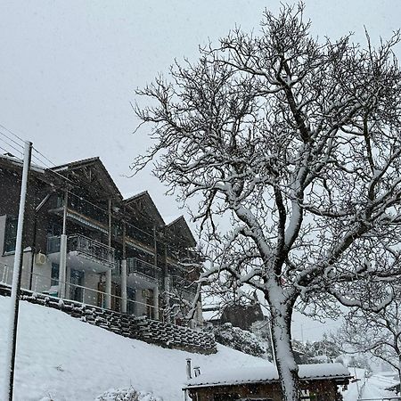 Lake Facing Studio Niederried bei Interlaken Exterior foto