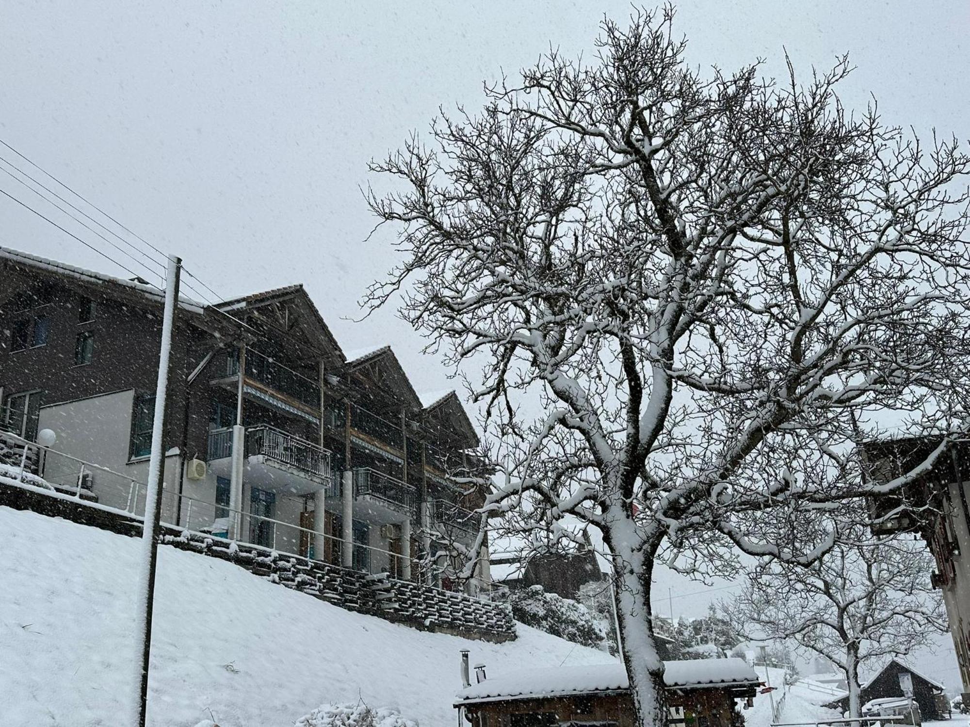 Lake Facing Studio Niederried bei Interlaken Exterior foto