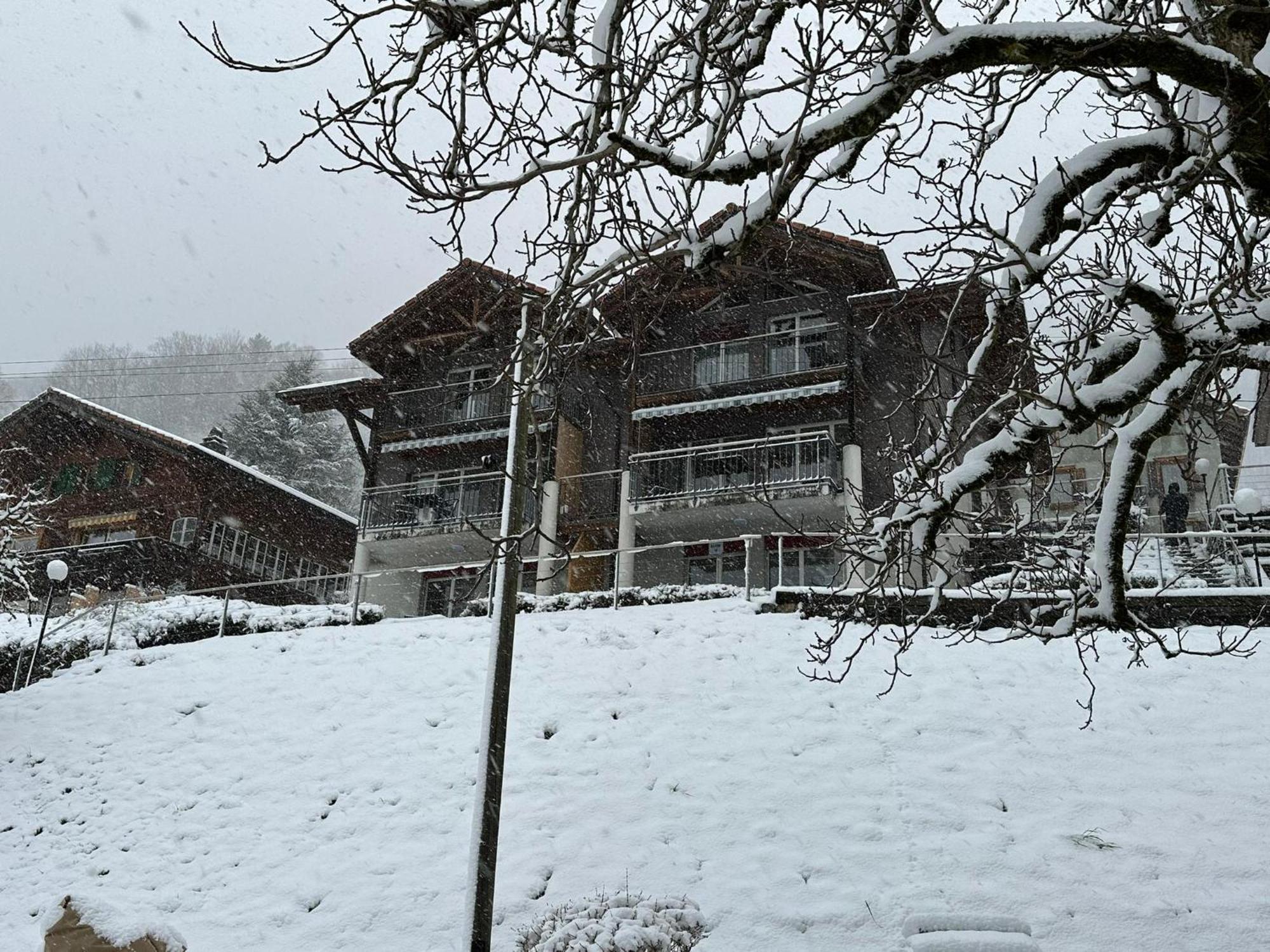 Lake Facing Studio Niederried bei Interlaken Exterior foto